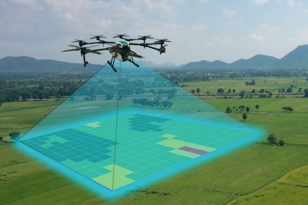 Crop Monitoring & Yield Estimation